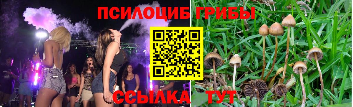 Галлюциногенные грибы MAGIC MUSHROOMS Сызрань